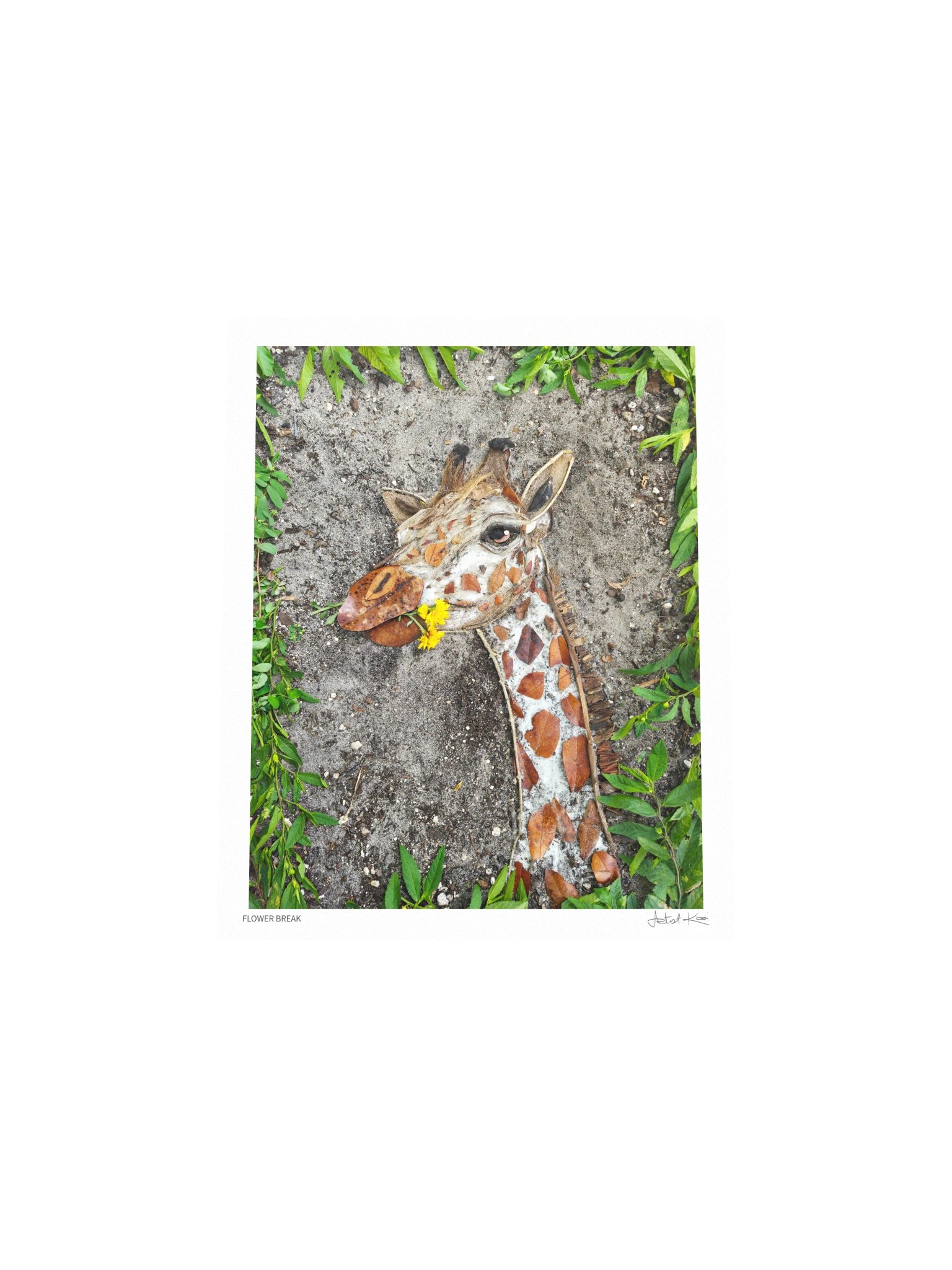 FLOWER BREAK | Nature Art Print product image (5)