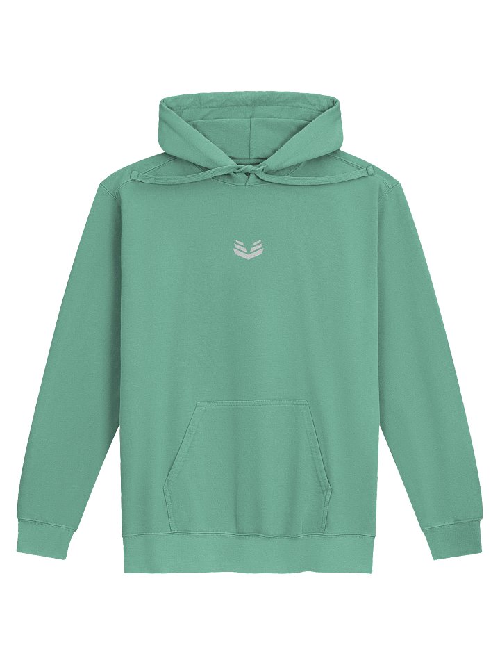 Icon Hoodie - Seafoam product image (1)