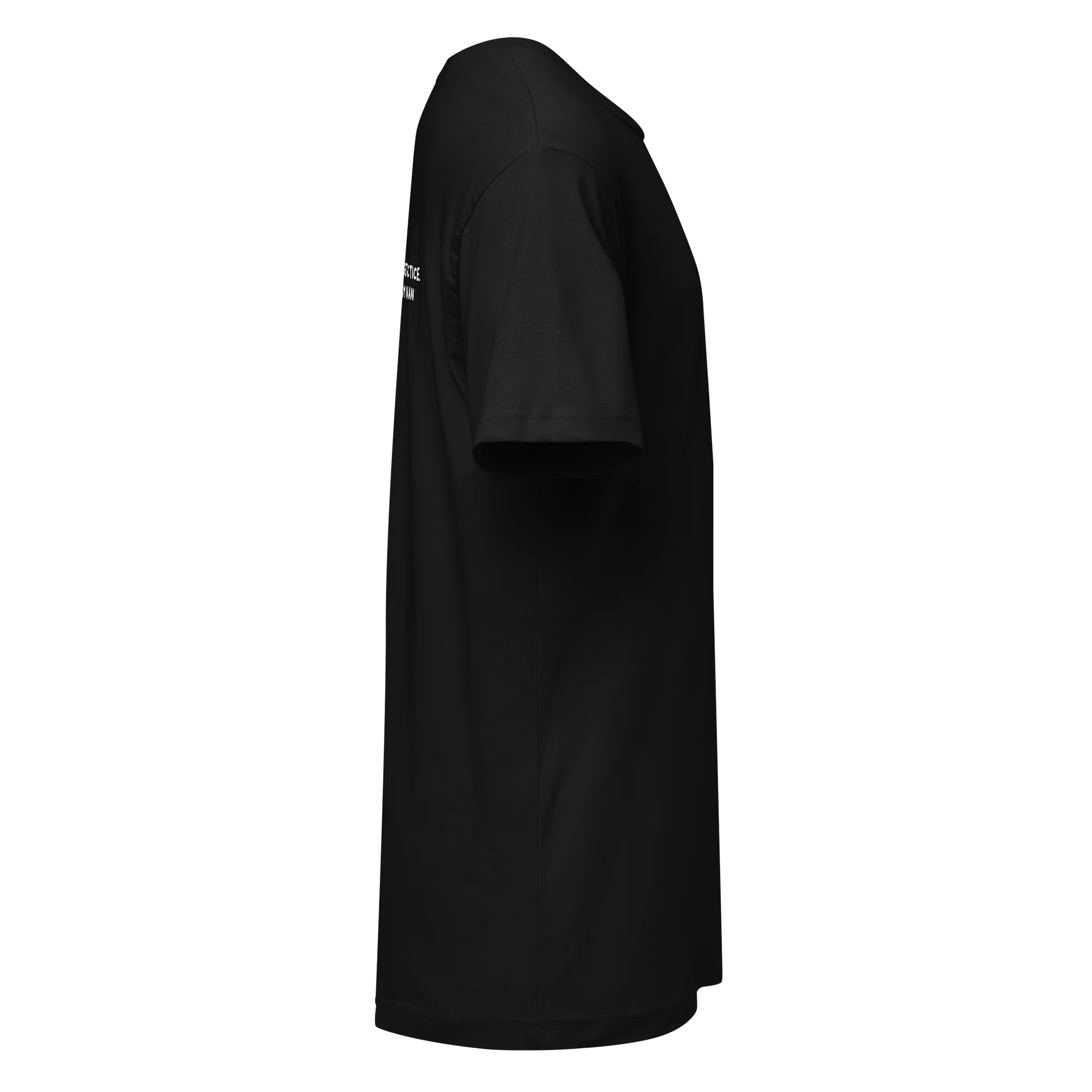 BFA Target Practice T-Shirt product image (3)