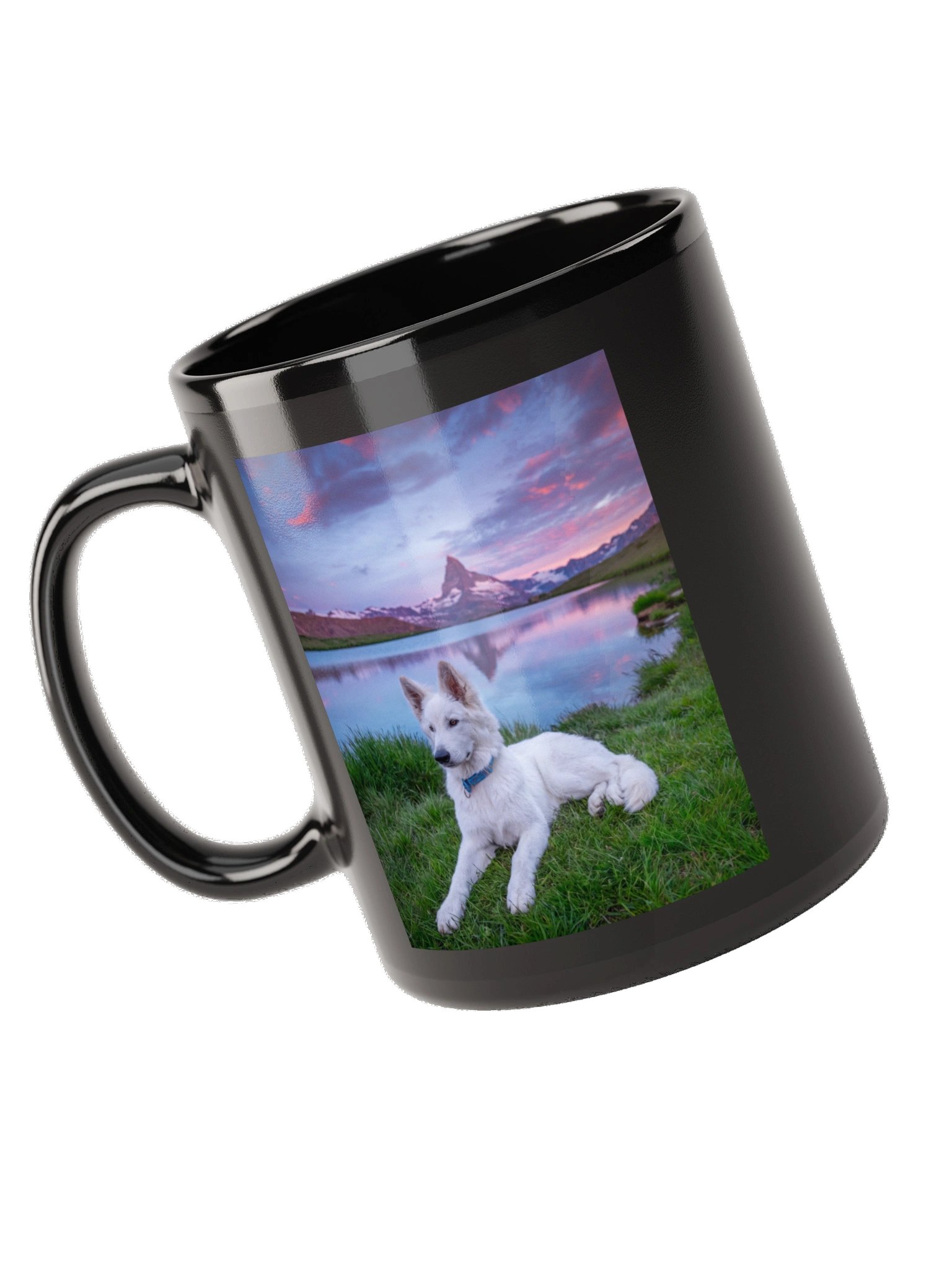 Lil Rasta at Stellisee product image (9)