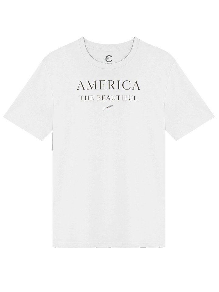 America 250: "America I" Organic T-Shirt product image (4)