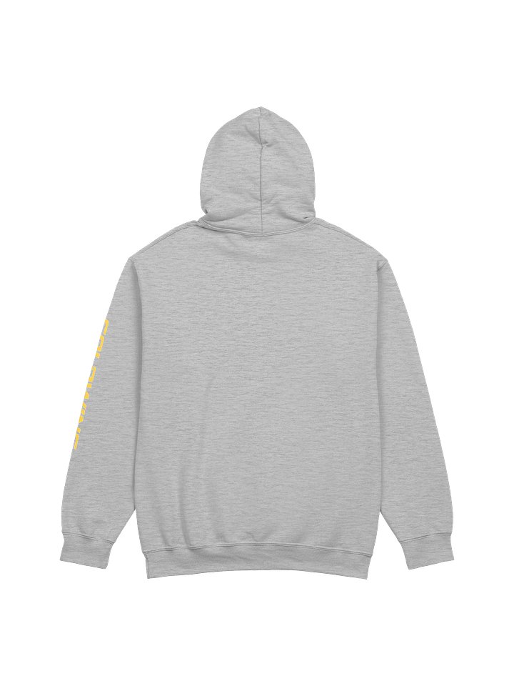 50th Anniversary Hoodie by Gildan product image (2)