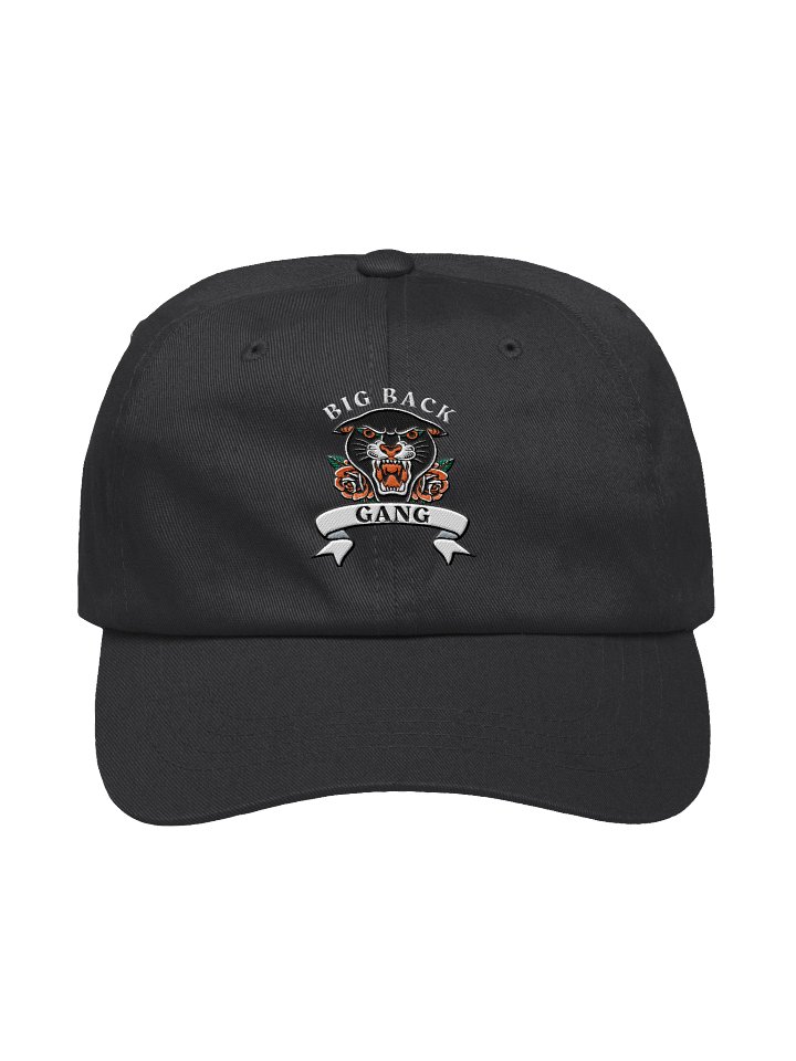 BIG BACK GANG (hat) product image (1)