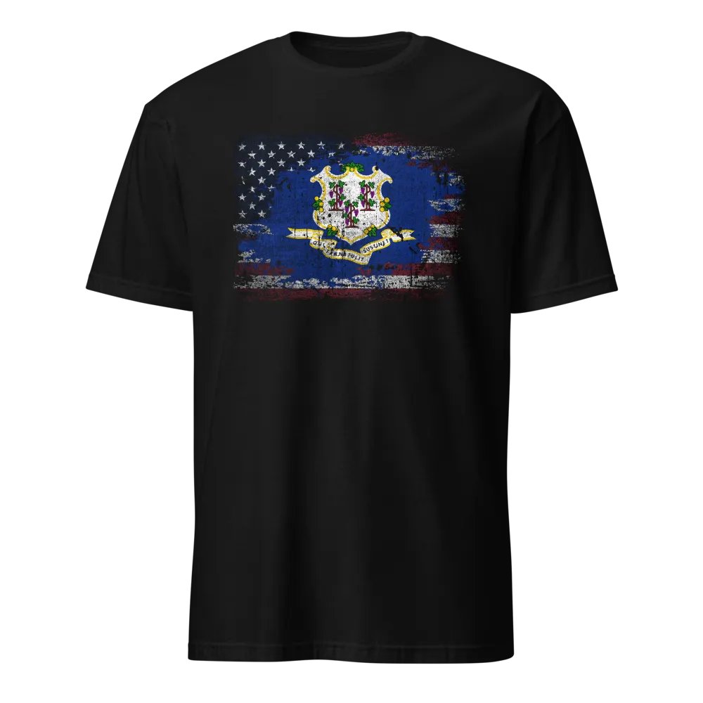 Connecticut USA product image (1)