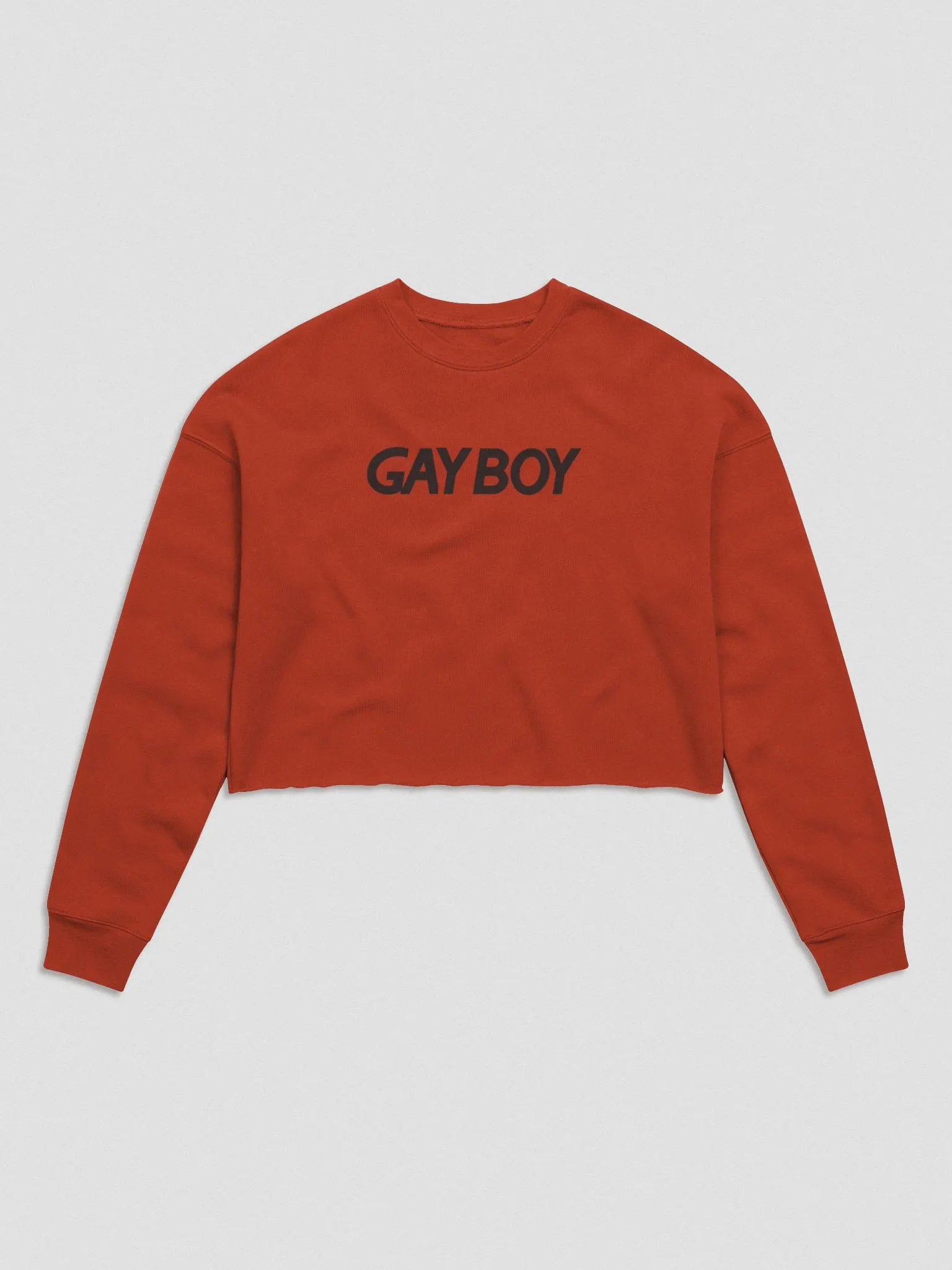 Gayboy Crop Sweater product image (2)