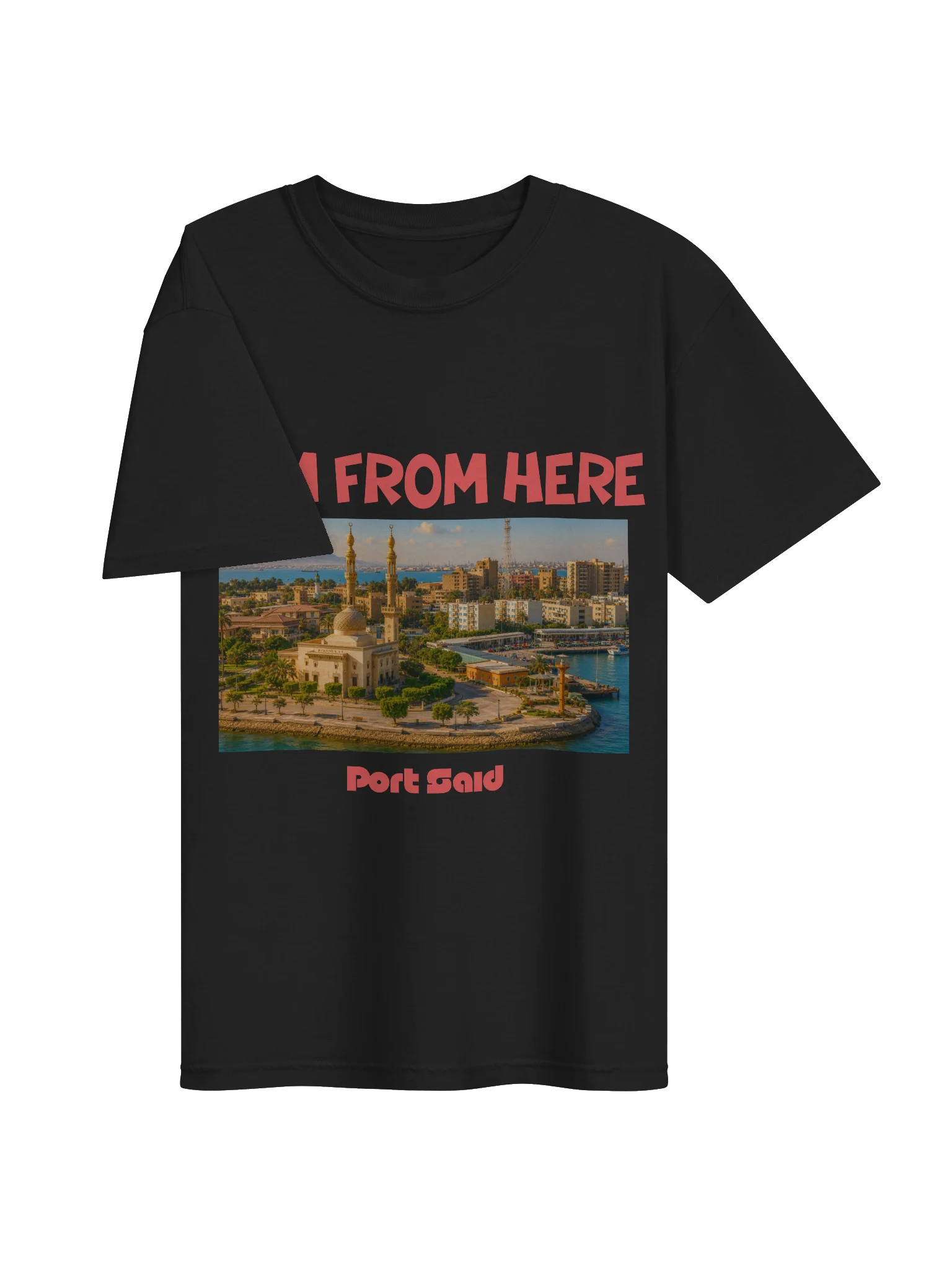 Port Said T-Shirt (Heavyweight Fabric) product image (3)