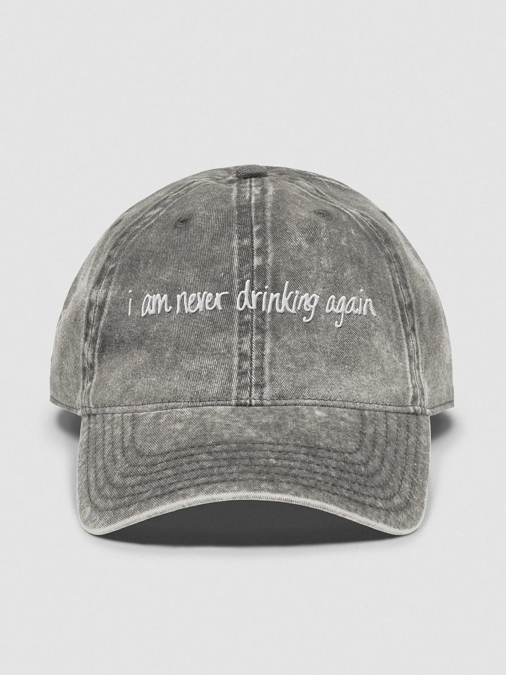 i am never drinking again product image (1)