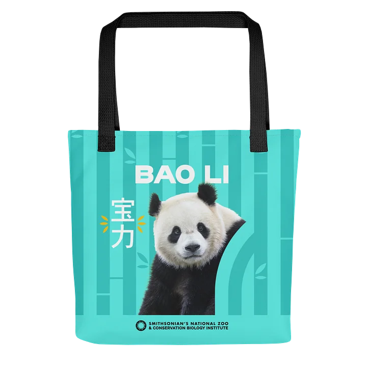 Bao Li & Qing Bao Tote product image (2)