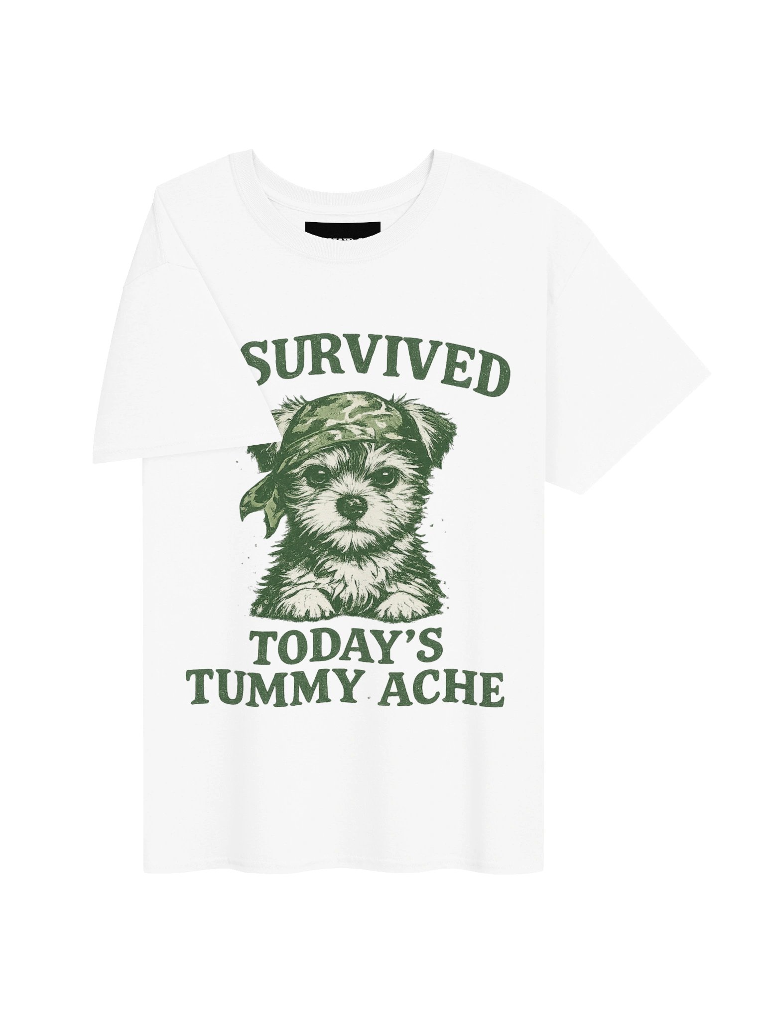 Survived today's tummy ache product image (39)