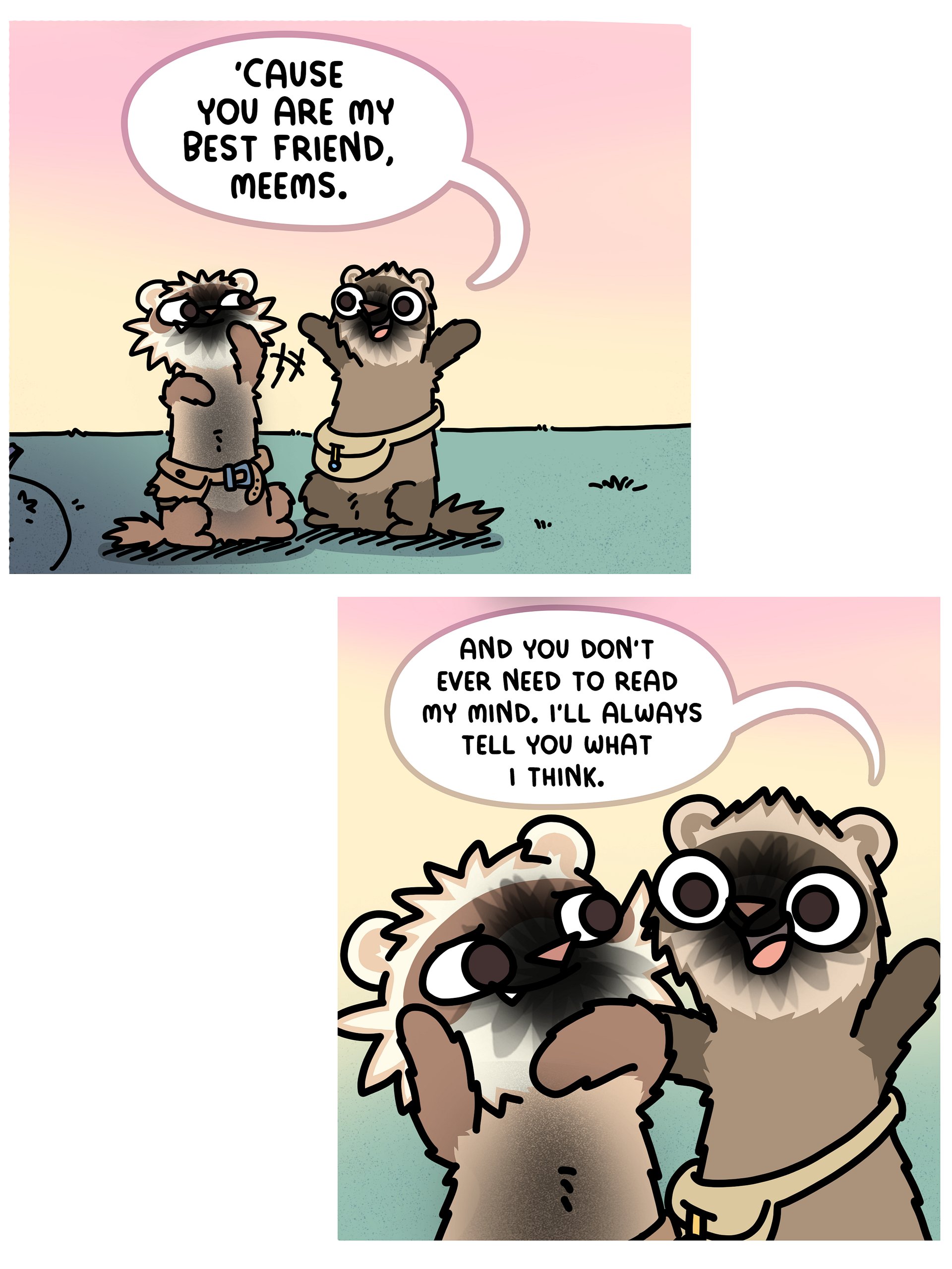 Meems and Feefs 2 : The Council of Ferrets - Hardcover Signed Book product image (8)