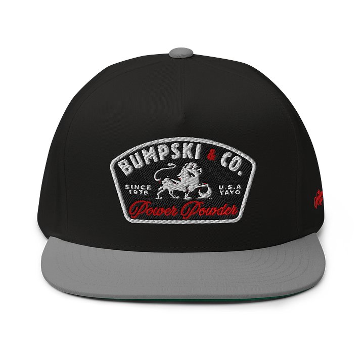 BUMPSKI & CO/POWER POWDER - Embroidered SnapBack product image (7)