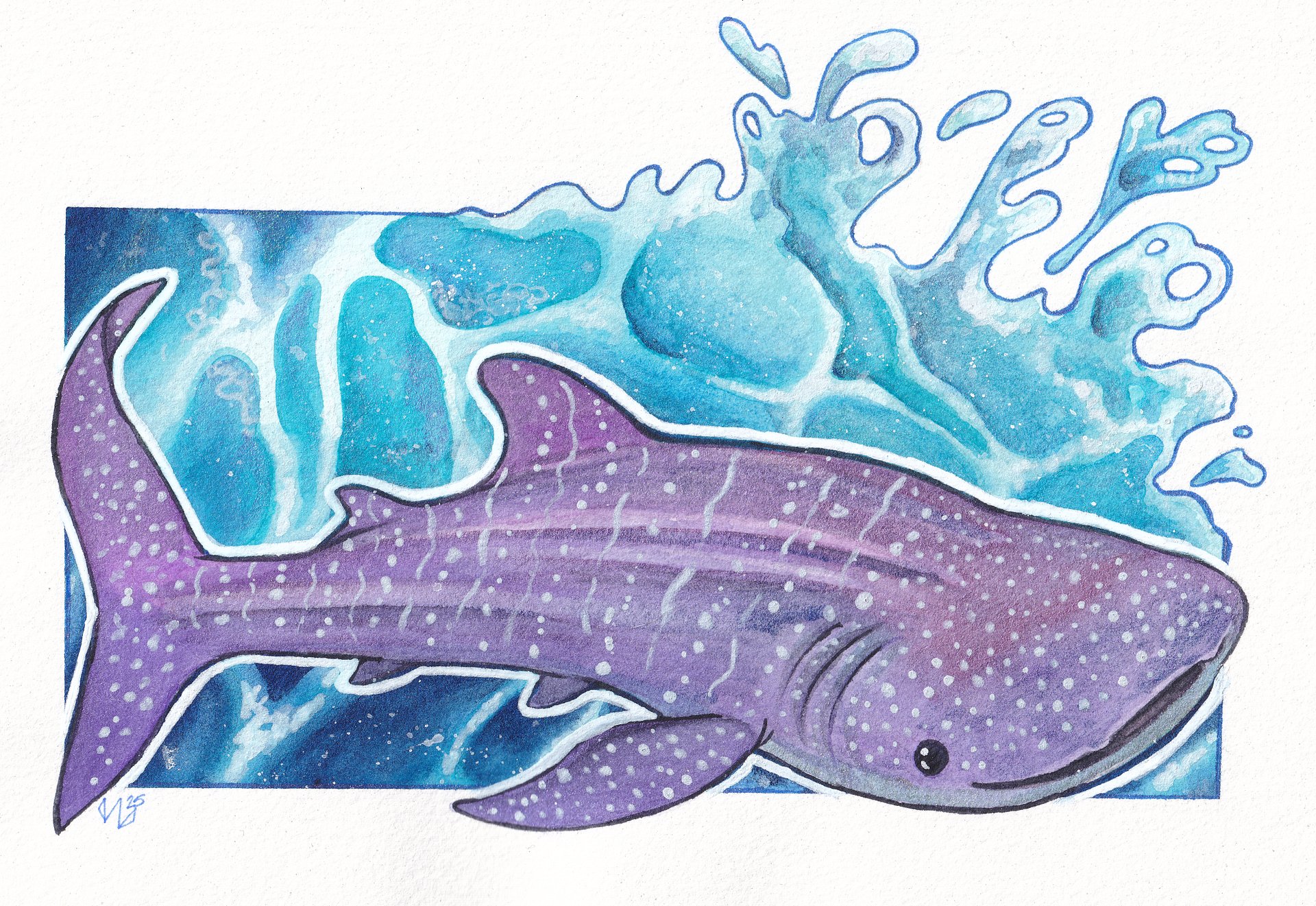 Purple Shimmer Whaleshark product image (1)