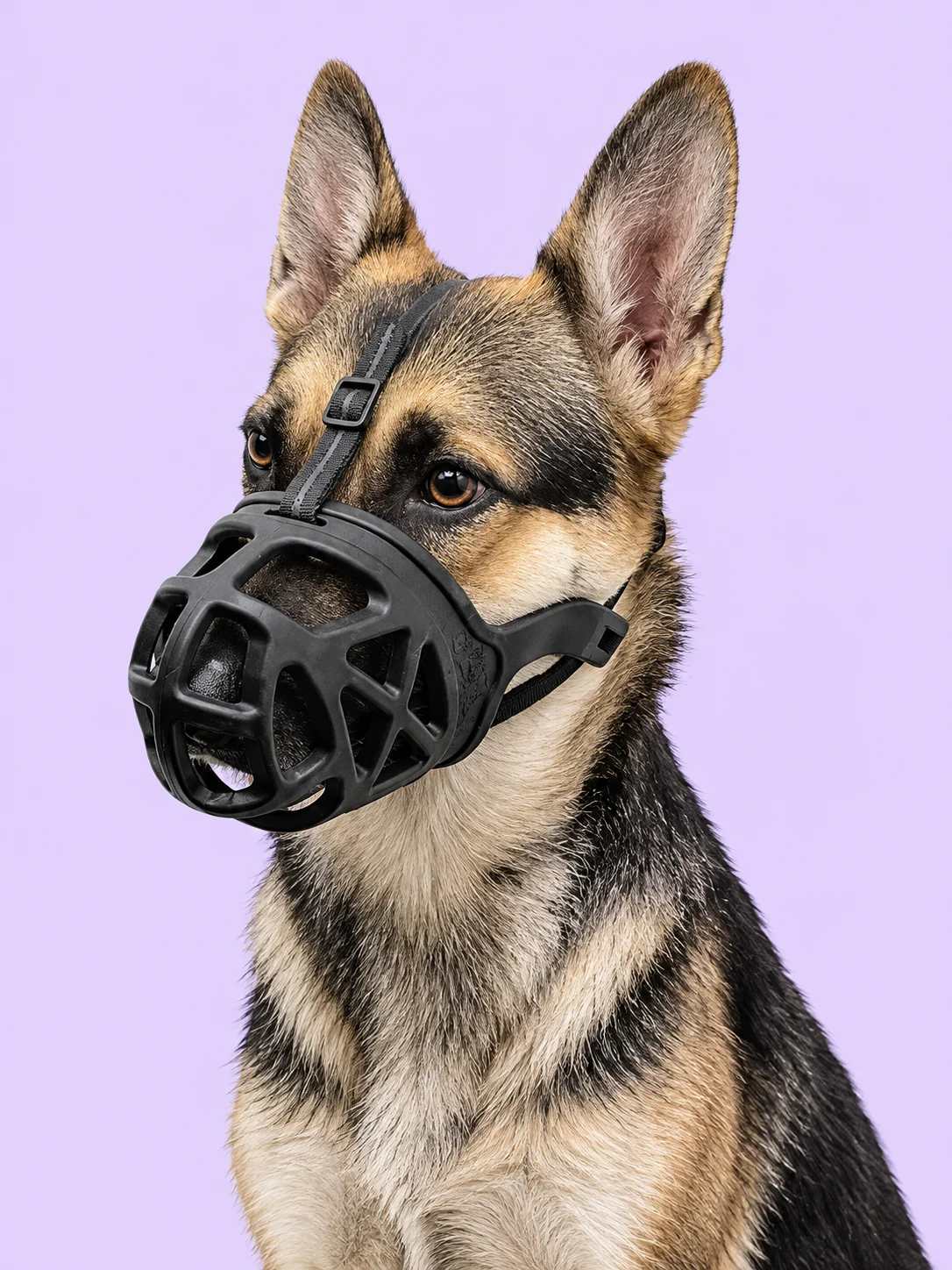 Dog Muzzles: Basket & Short-Snout Styles product image (1)