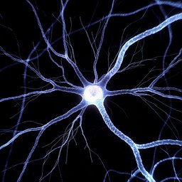 Neuron Tier