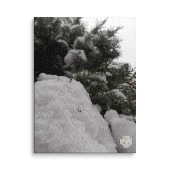 Snowy - Fine Art Canvas product image (2)