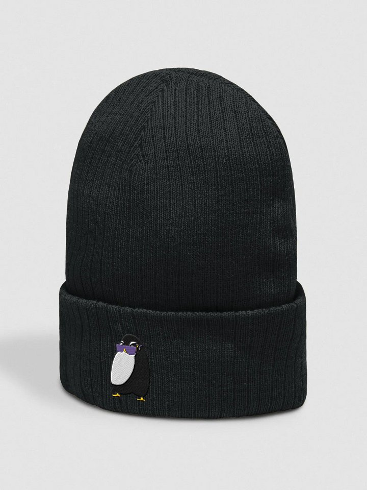 Diva Penguin Embroidered Beanie product image (2)