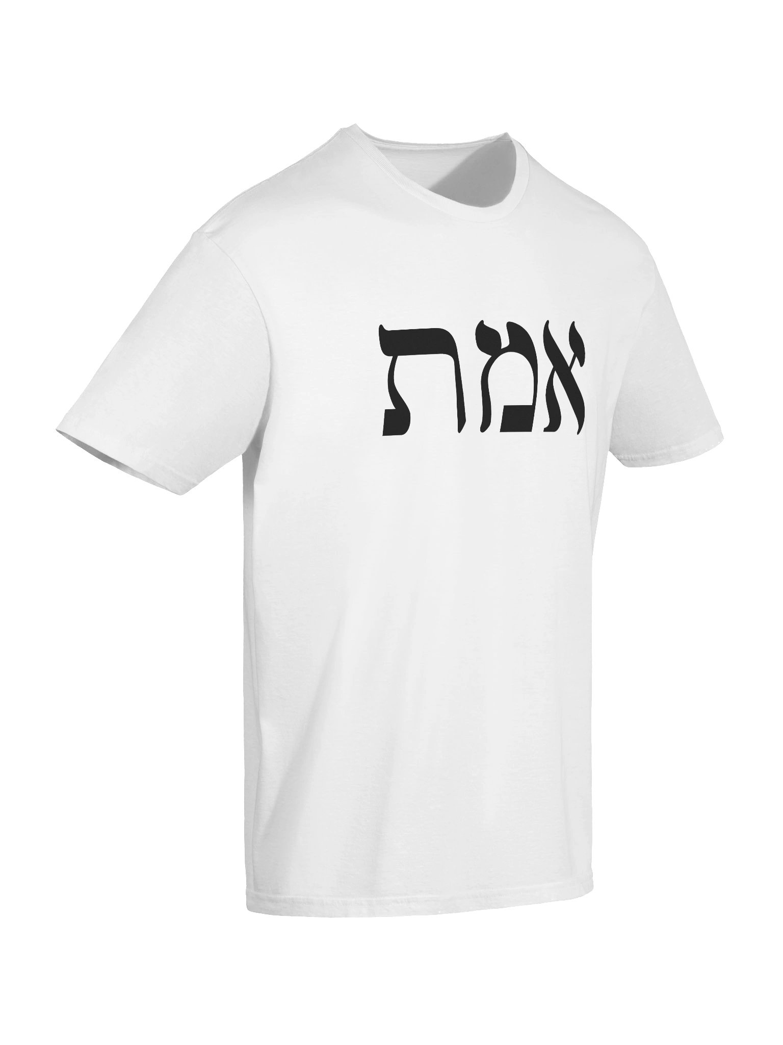 AMT Tee product image (10)