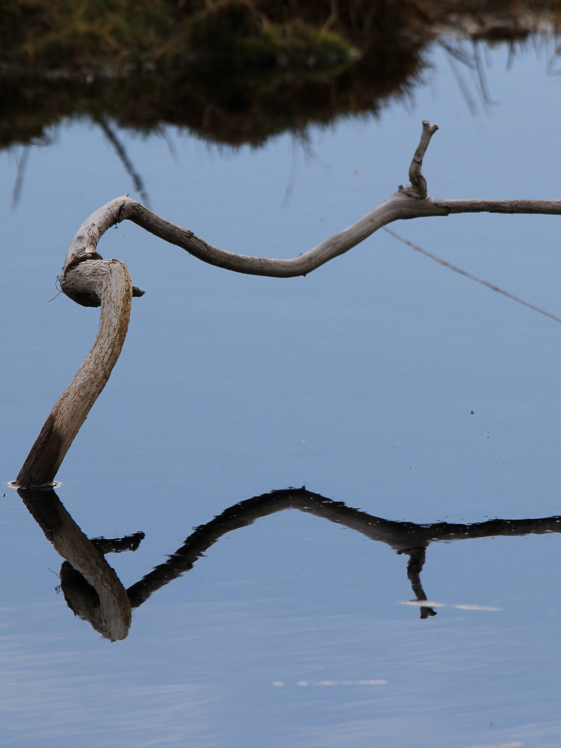 Abstract Image Collection product image (3)