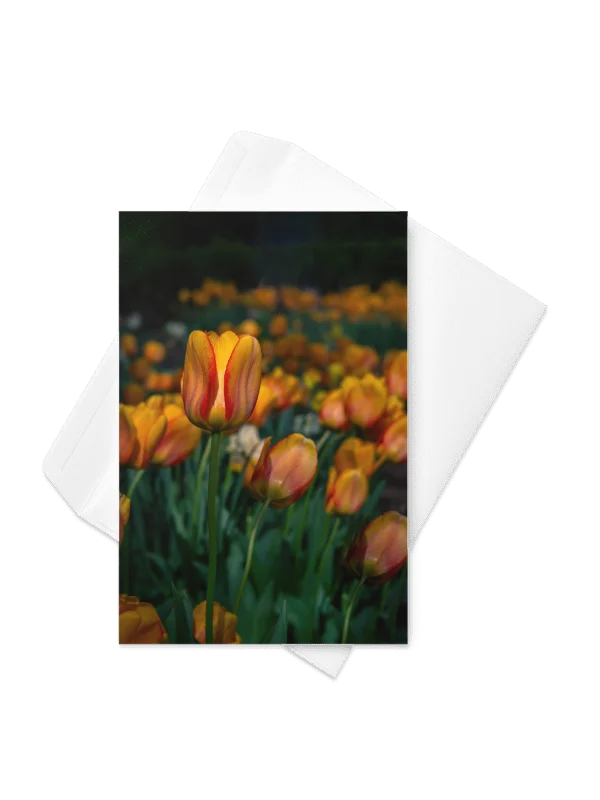Tulip Standing Tall Notecard product image (1)