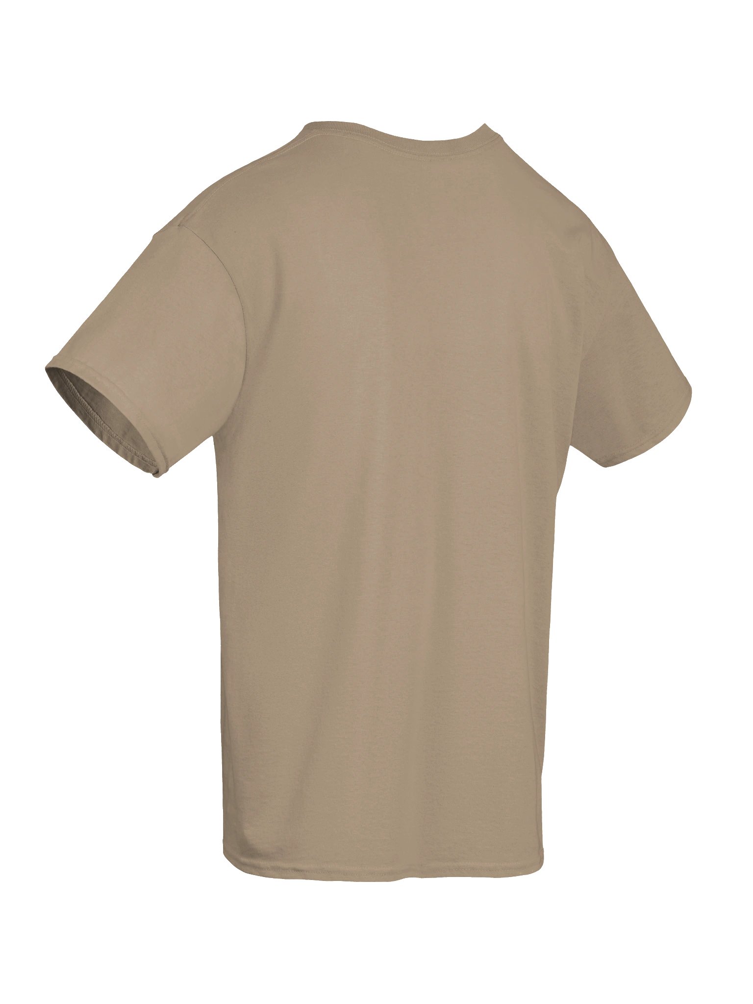 The Mastery Standard T-Shirt product image (37)