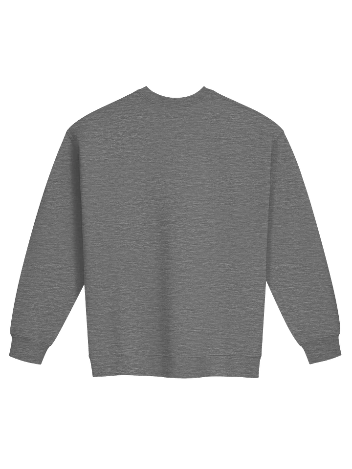 Raccoon Rehab Pullover product image (2)