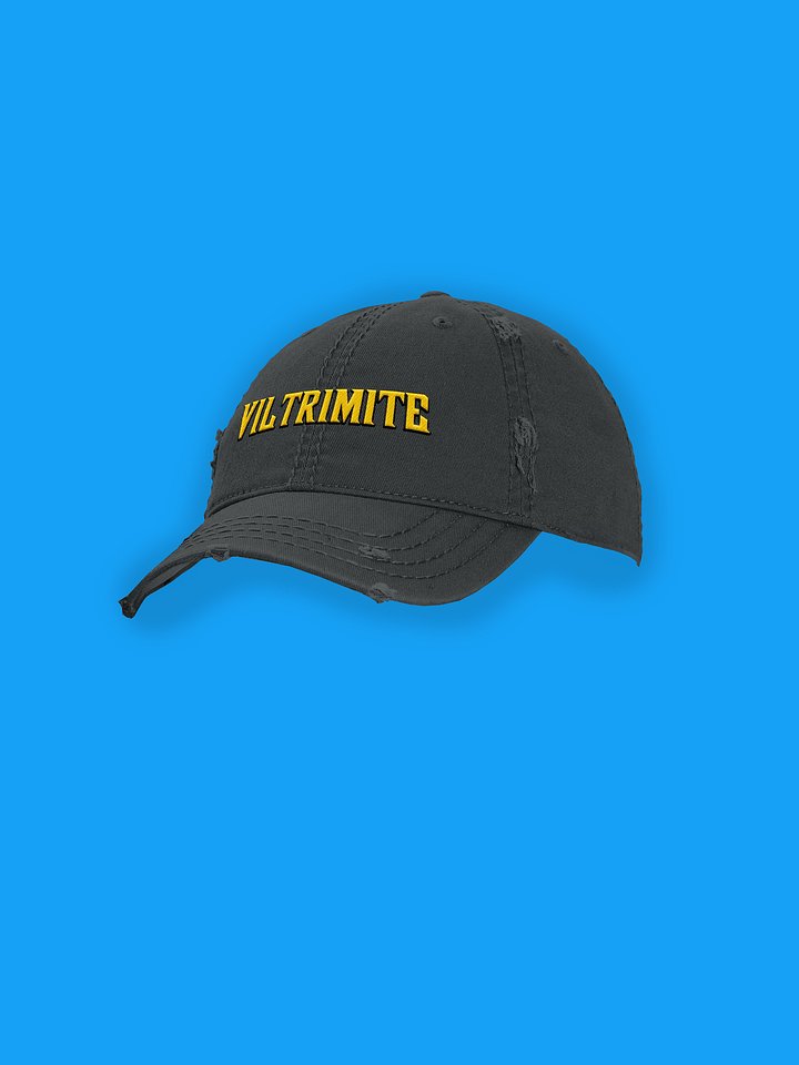 Viltrimite Hat product image (1)