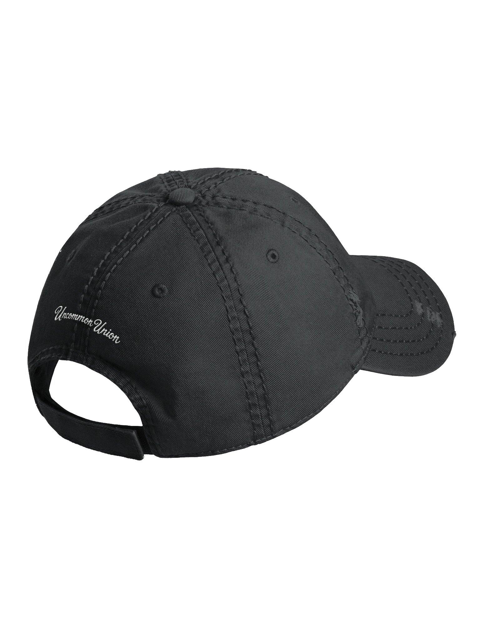 Logo Dad Hat (Distressed) product image (3)