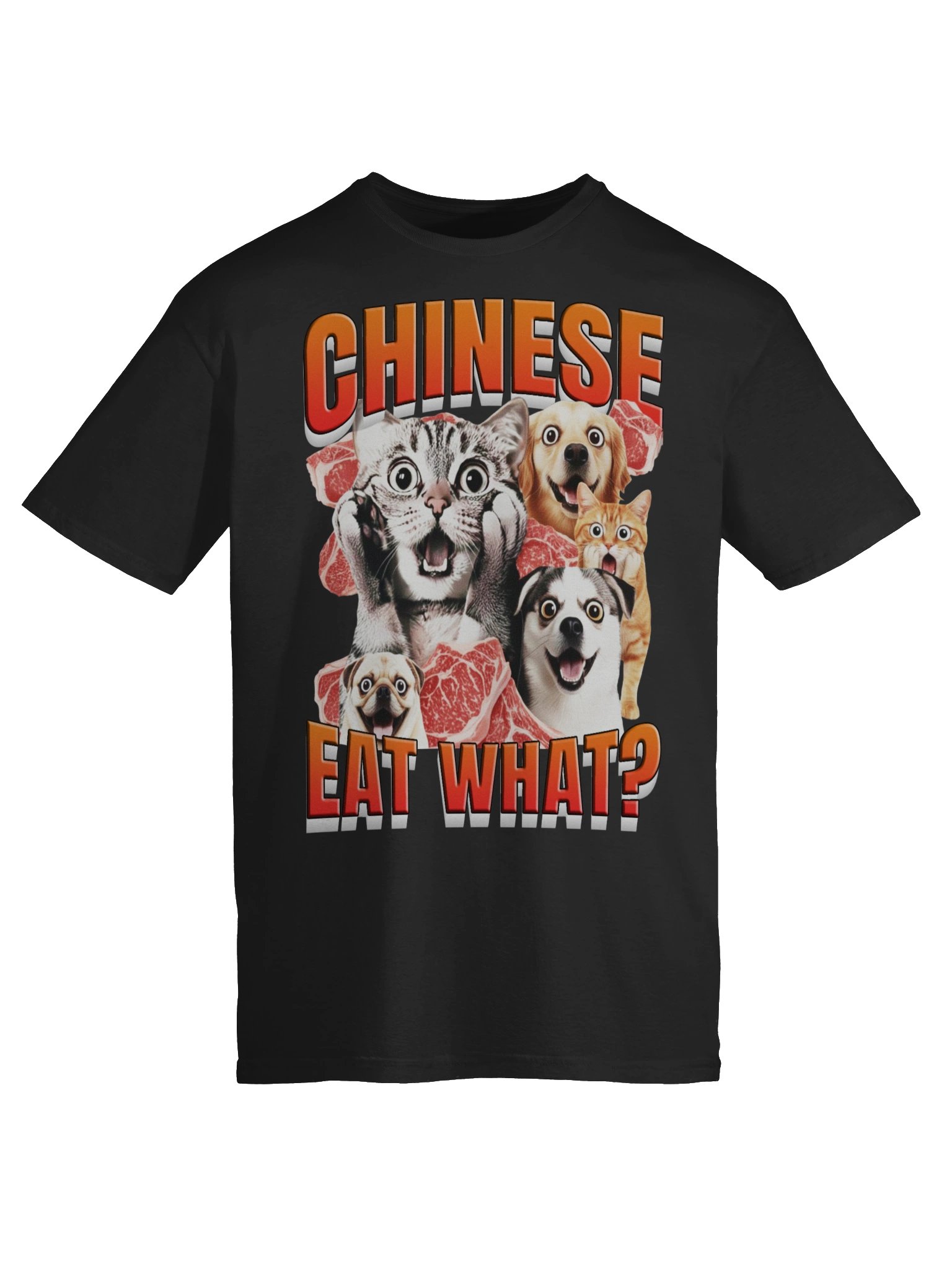 Chinese Eat What? T-Shirt product image (9)
