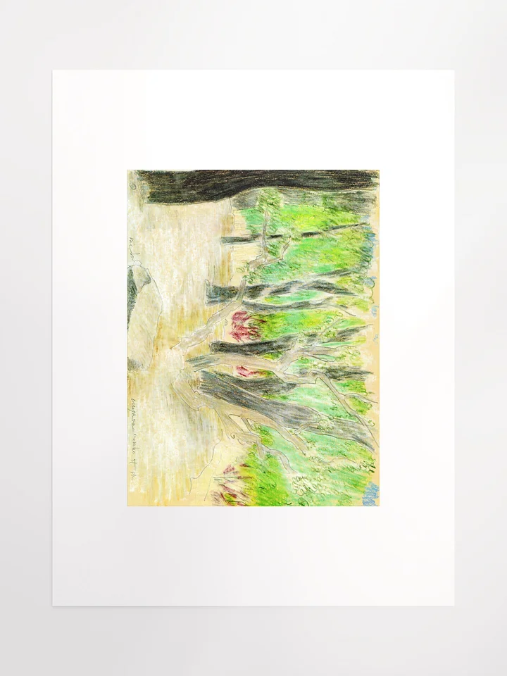 Cuyamaya Canyon State Park, CA 09.16.86 print product image (2)