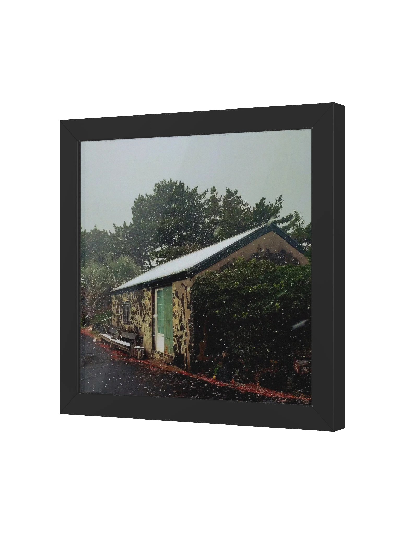 Winter product image (2)