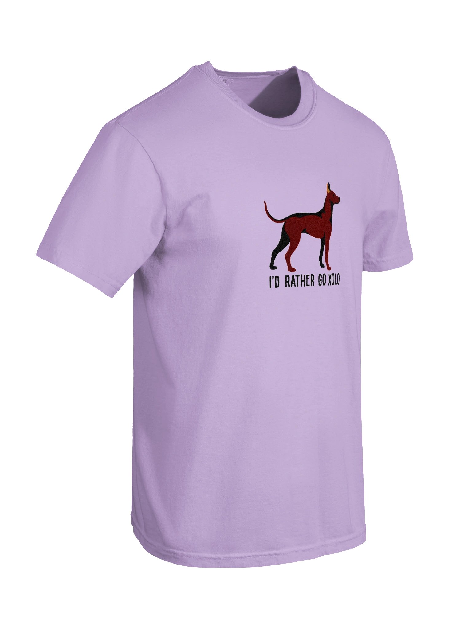 I'd Rather Go Xolo T-Shirt(Embroidered) of a Mexican Hairless Dog/Xoloitzcuintli(Chocolate) product image (11)