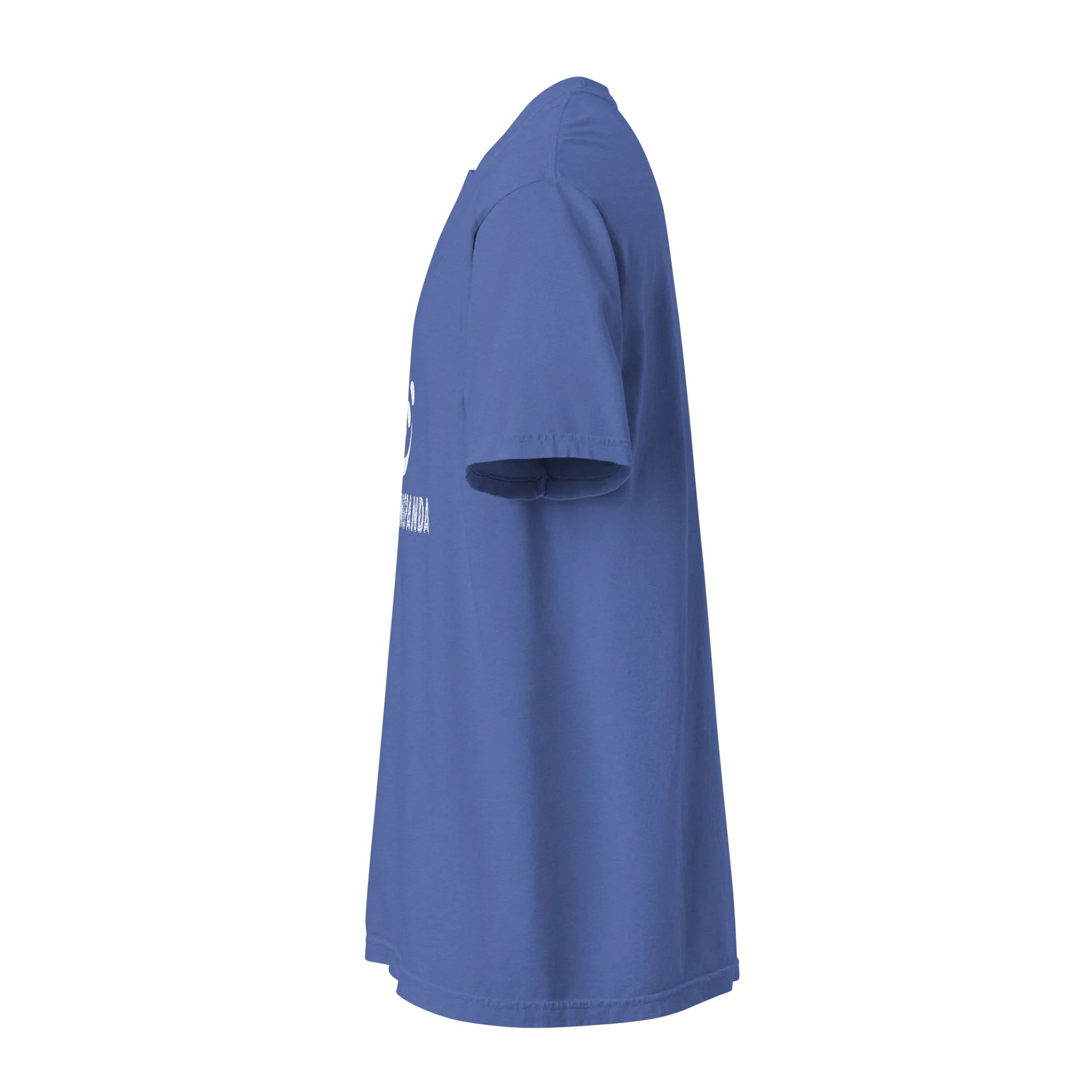 Strummingpanda T-Shirt - Blue product image (3)