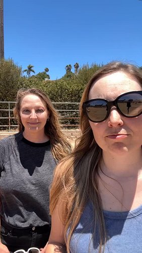 Where did our vacation money go? 🐎 #horse #horsesofinstagram #equestrian #quarterhorse #vacationmoney