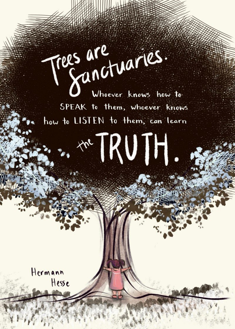 Trees Are Sanctuaries Art Print product image (1)