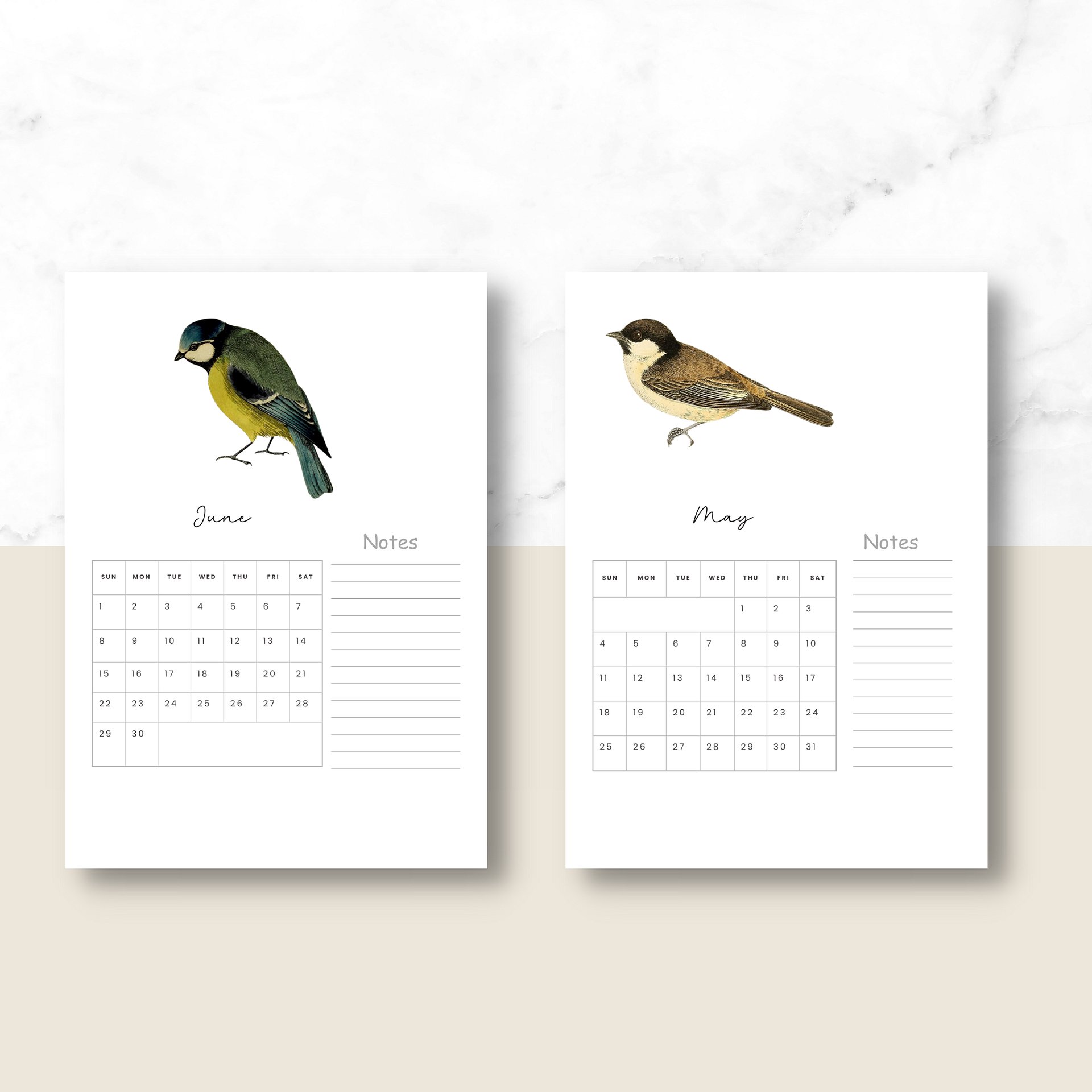 2025-2026 PDF Calendar: American Birds product image (5)