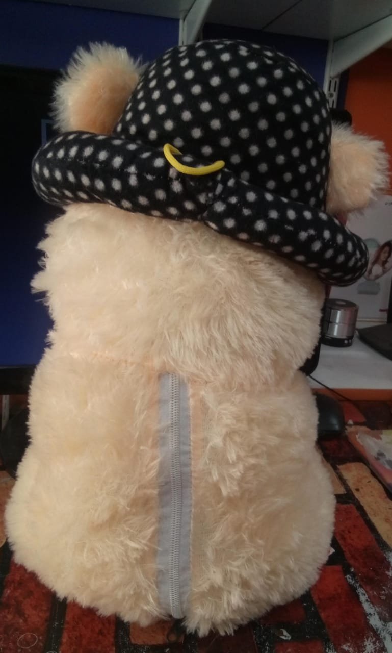 TEDDY BEAR product image (4)