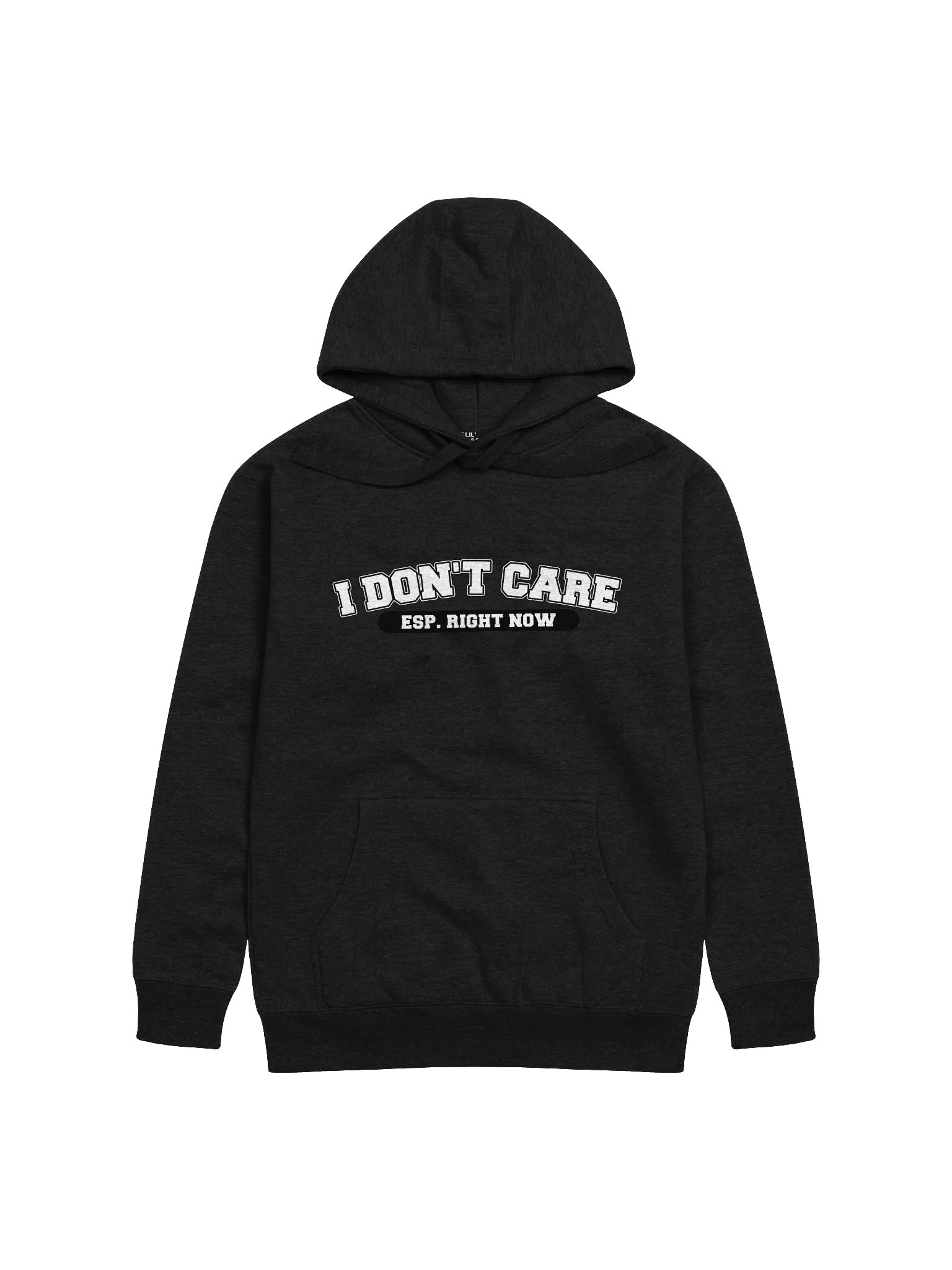 "I Don't Care" Hoodie product image (3)
