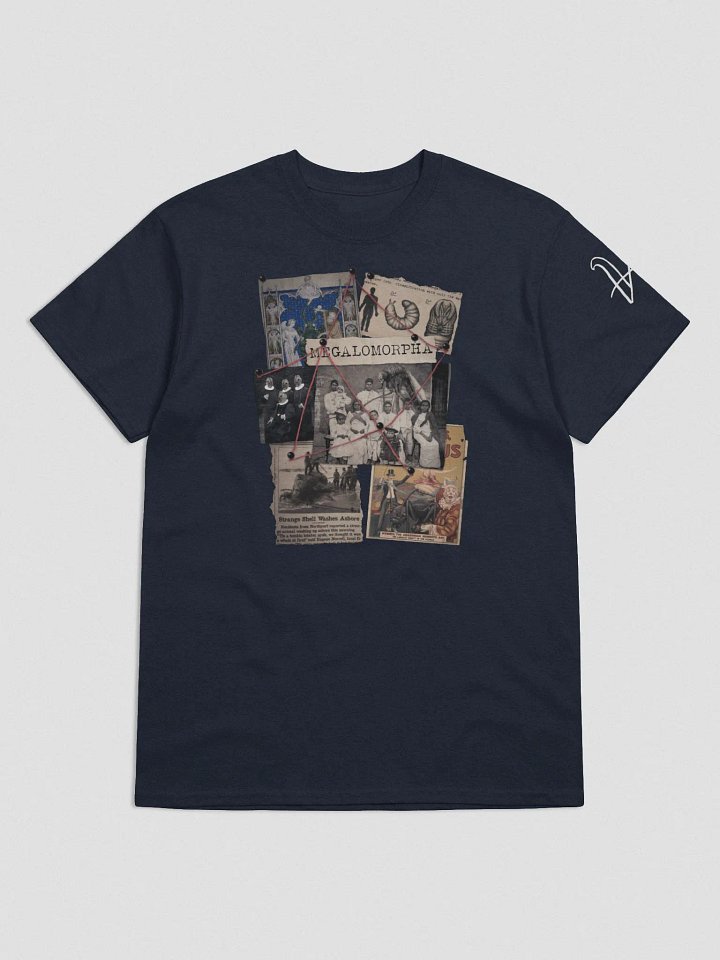 Megalomorpha product image (1)