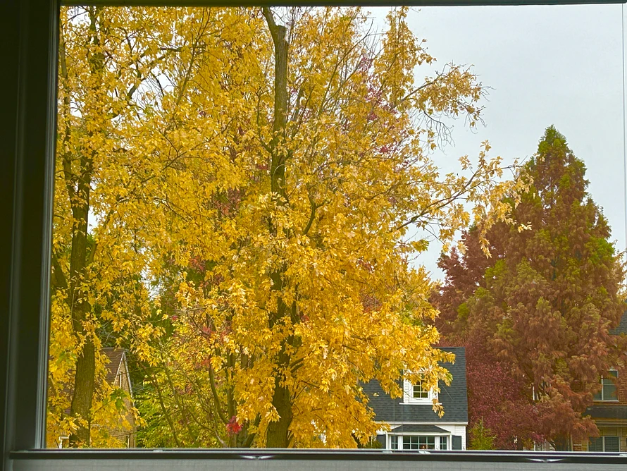 Trees