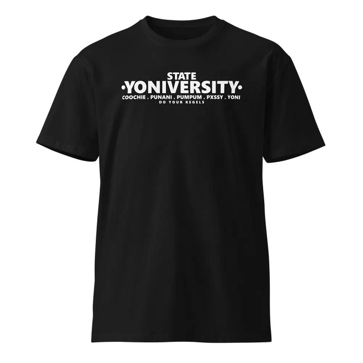 SY 2YFEST product image (1)