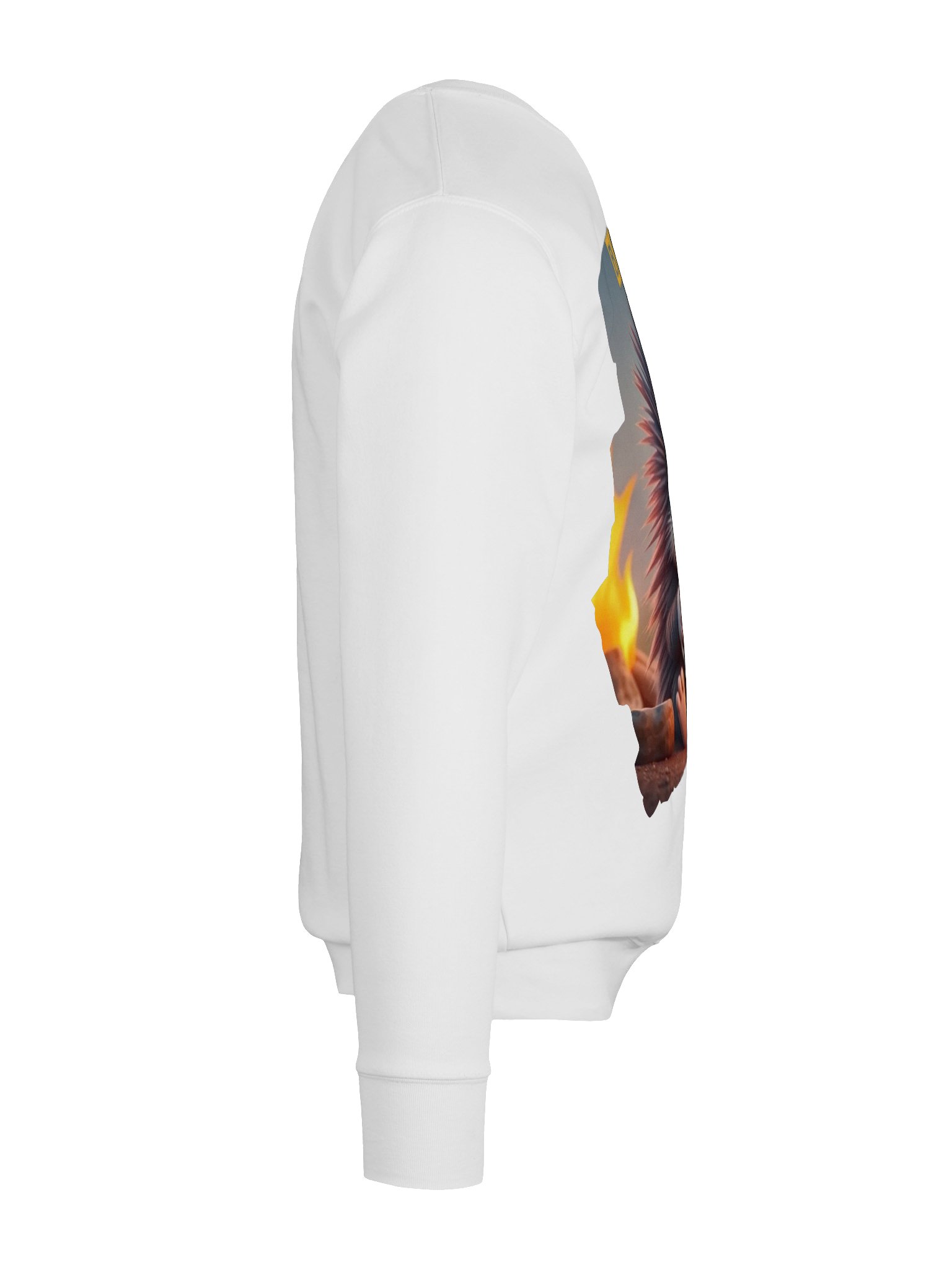 “Bad Hair, Don’t Care” Porcupine Sweatshirt product image (9)