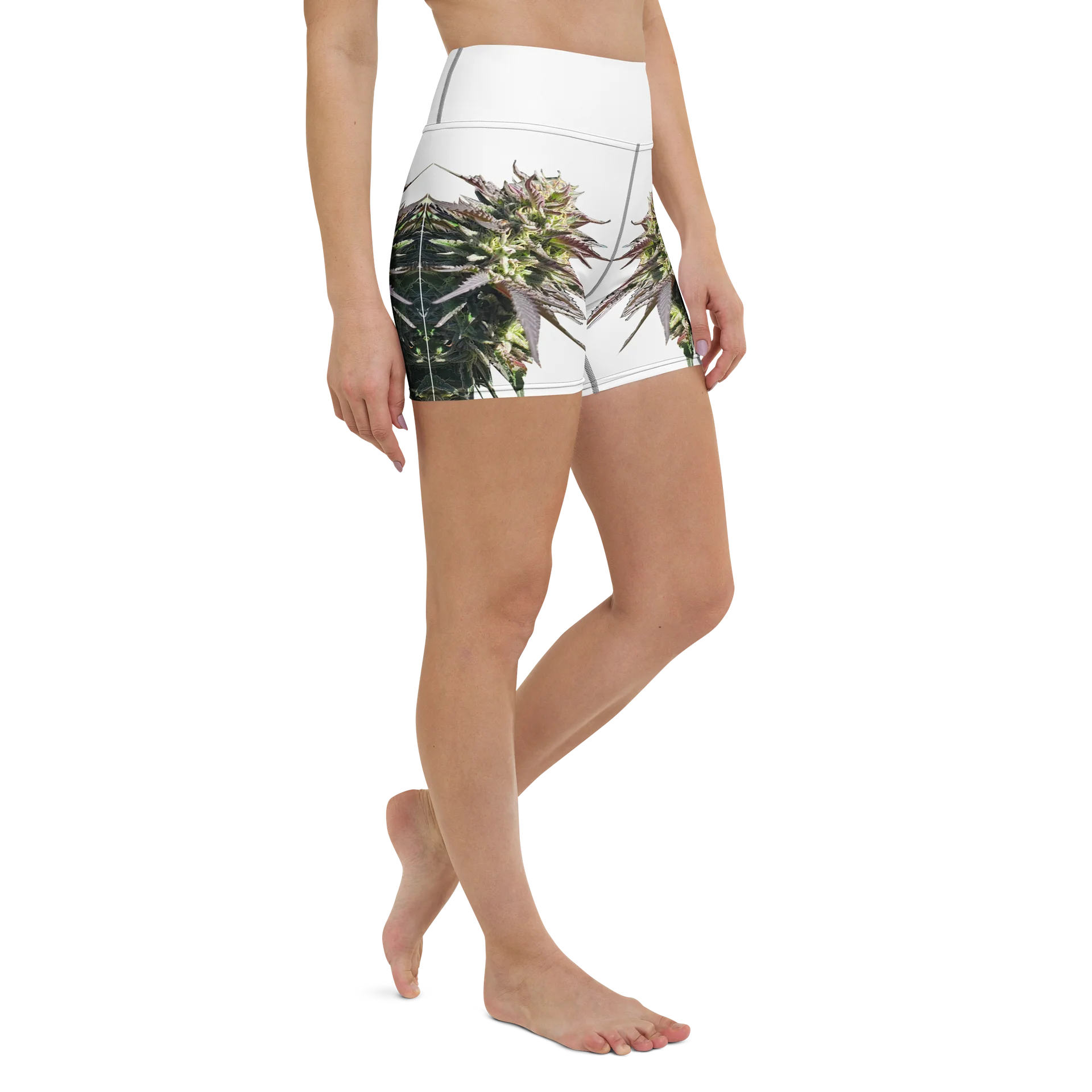 Herbaceus Sacer product image (3)