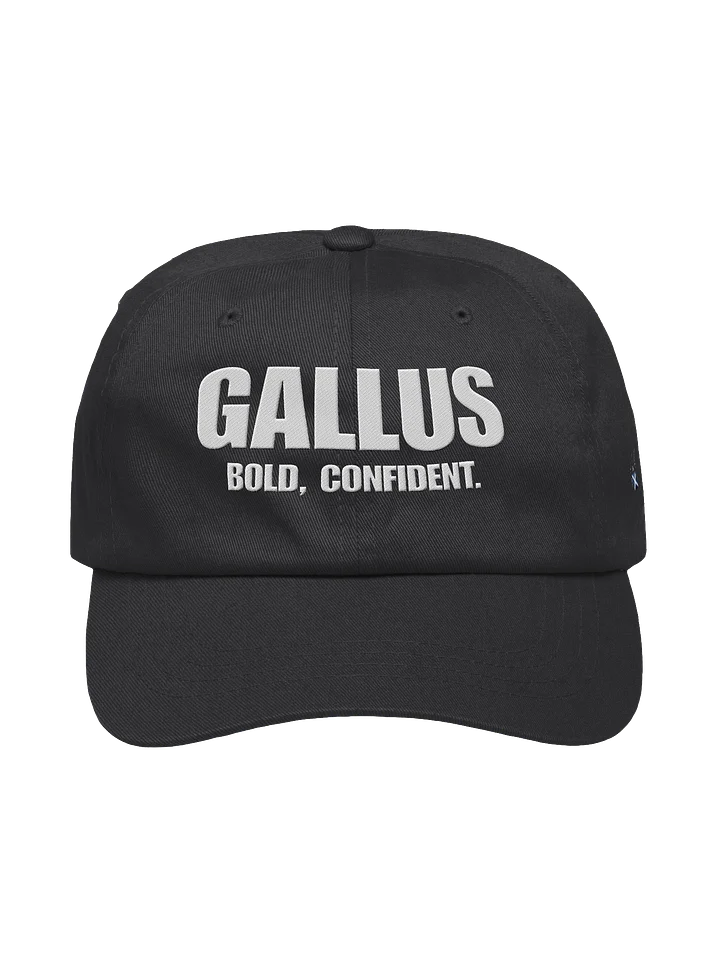Gallus Bold Confident Hat product image (1)