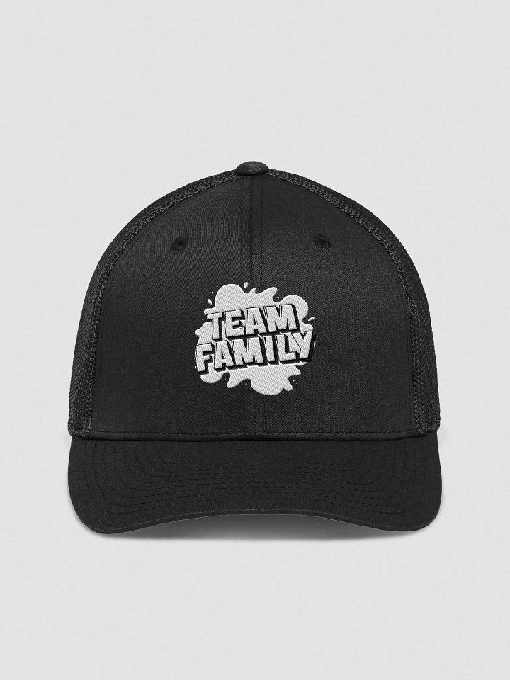 Team Family Flexmesh Cap product image (1)