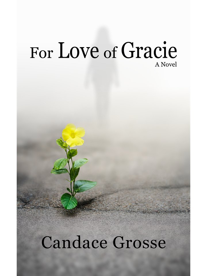 For Love of Gracie: A Novel product image (2)