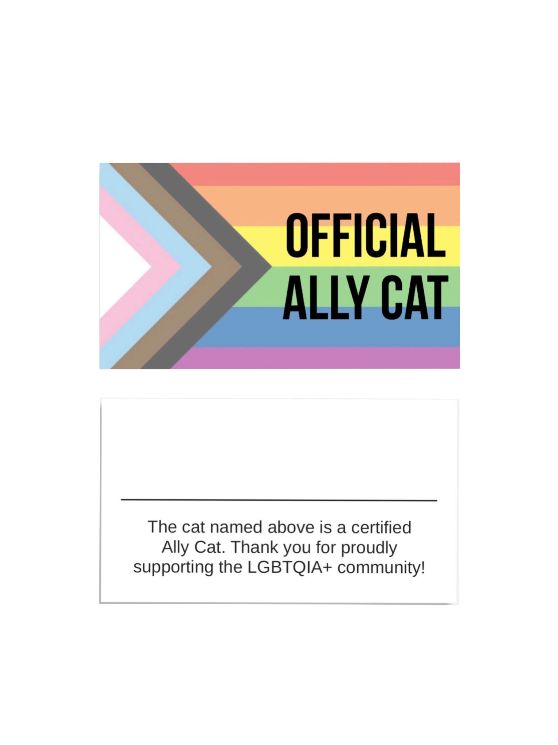 Official Ally Cat card product image (1)