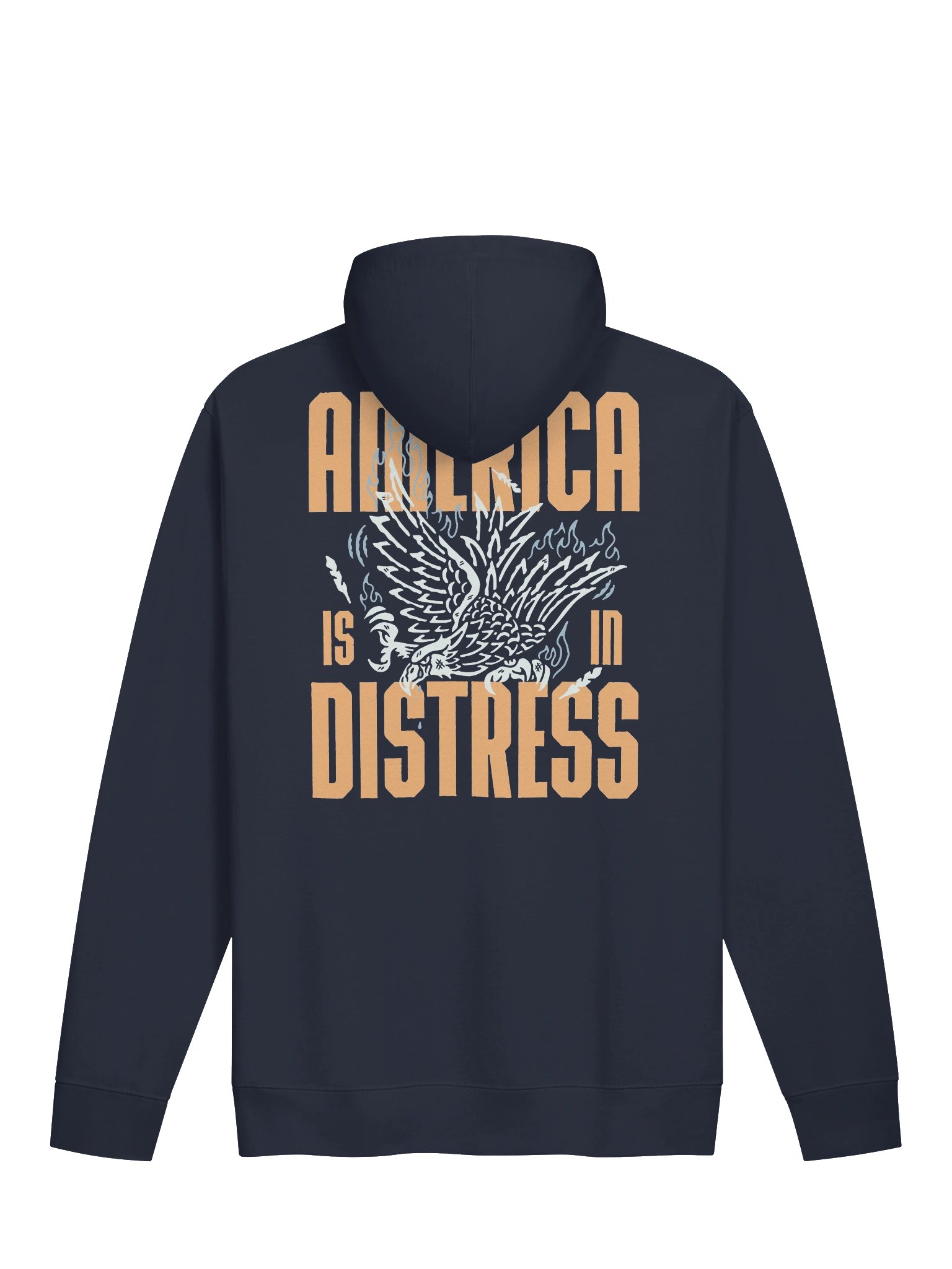 America Is In Distress - BB x ITC Hoodie product image (1)