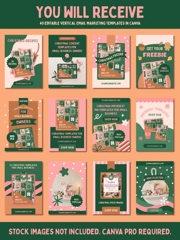 Coquette Christmas Email Marketing Template product image (5)
