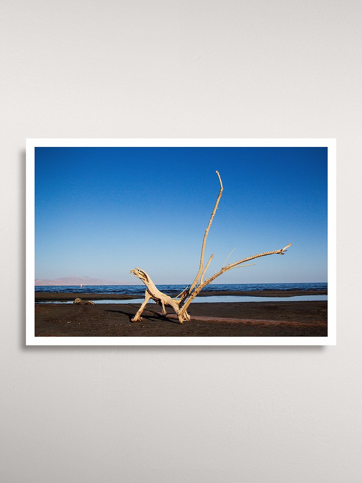 Great Salt Lake State Park Poster product image (1)