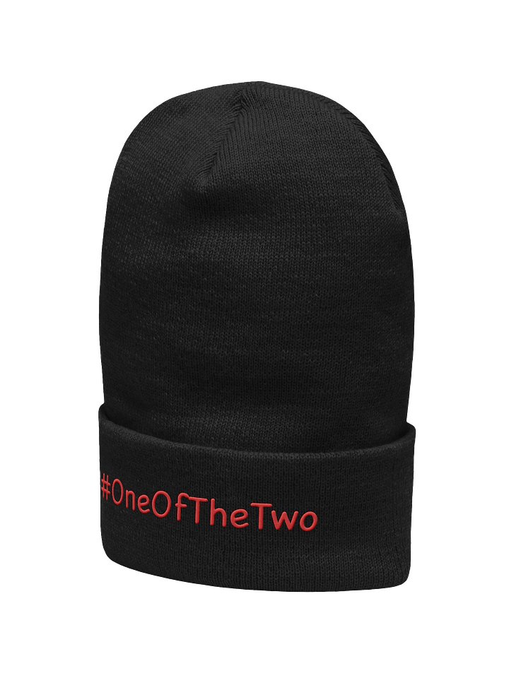 One Of The Two beanie product image (2)